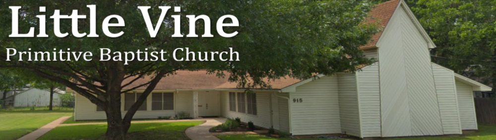 Little Vine Primitive Baptist Church