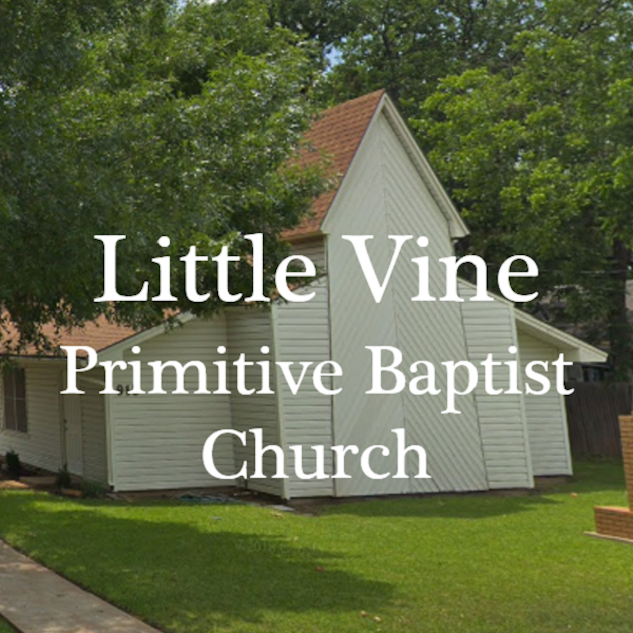 Little Vine Primitive Baptist Church